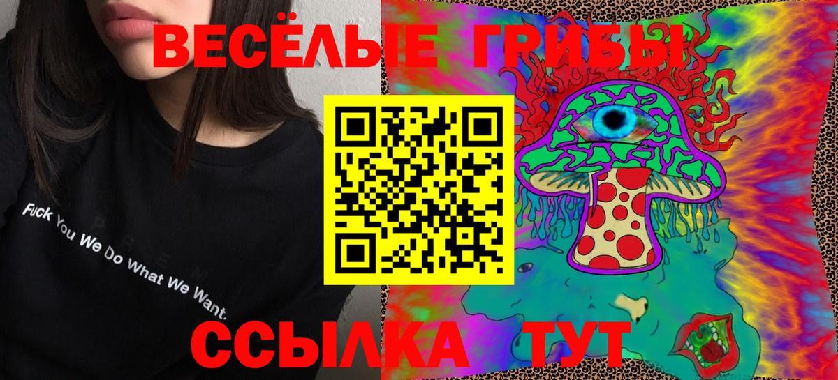 Псилоцибиновые грибы GOLDEN TEACHER Королёв