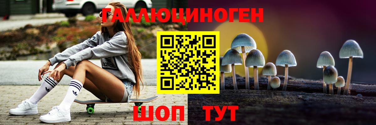 Псилоцибиновые грибы Psilocybe  Вход с VPN  Королёв 